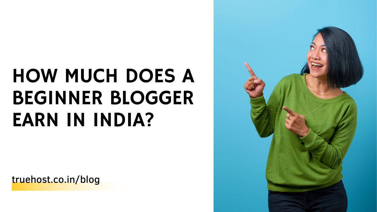How Much Does a Beginner Blogger Earn in India?